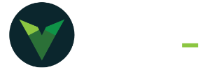 vue by dominion dms
